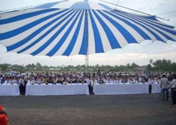 Cho Thuê Dù Đơn, Dù Đôi Chất Lượng Cao