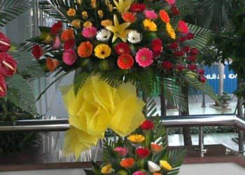 Tư Vấn Chọn Hoa Mừng Khai Trương Cửa Hàng Ý Nghĩa Nhất